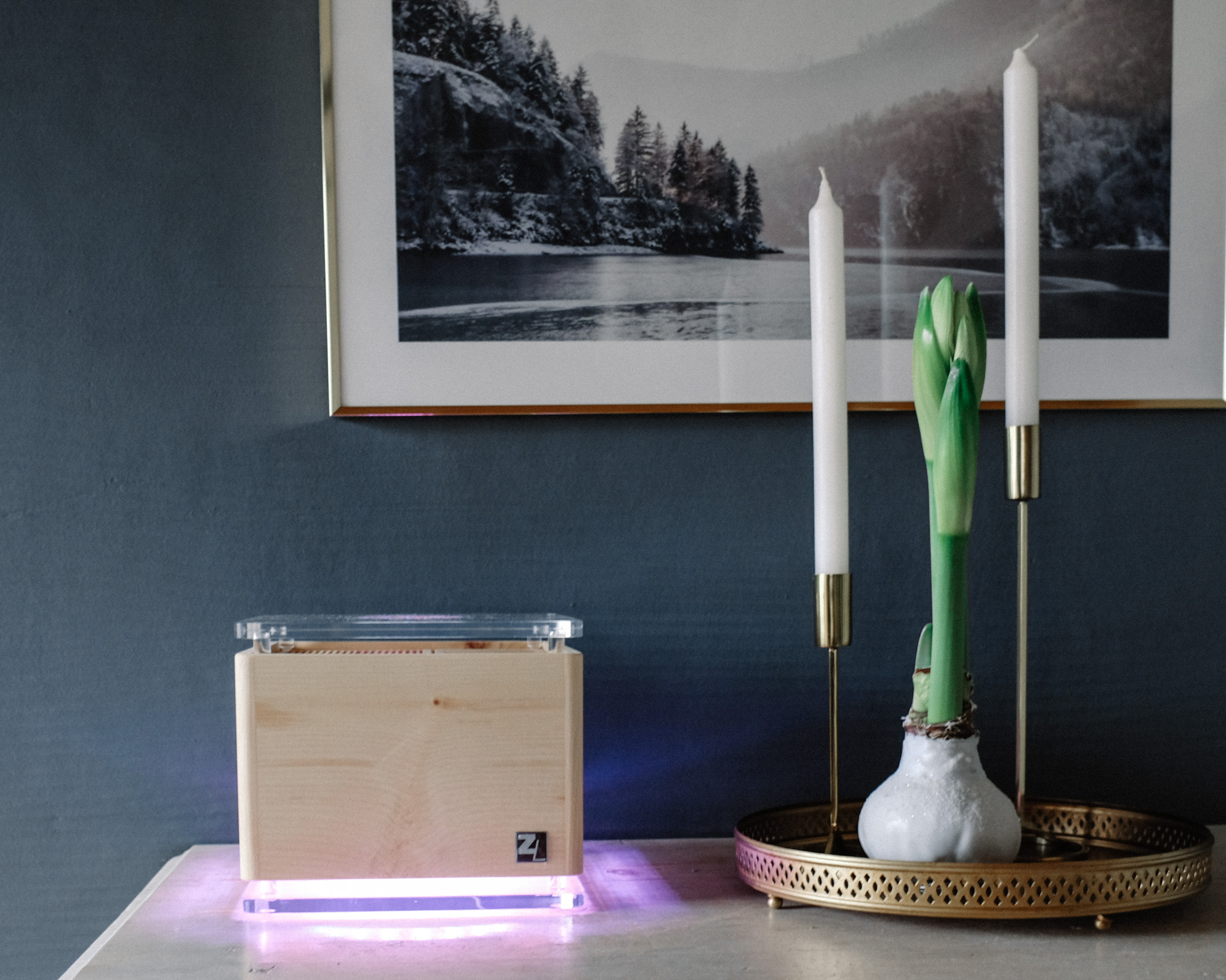 Warum wir im ganzen Haus ein gesundes, natürliches Raumklima haben und du einen ZirbenLüfter® gewinnen kannst.