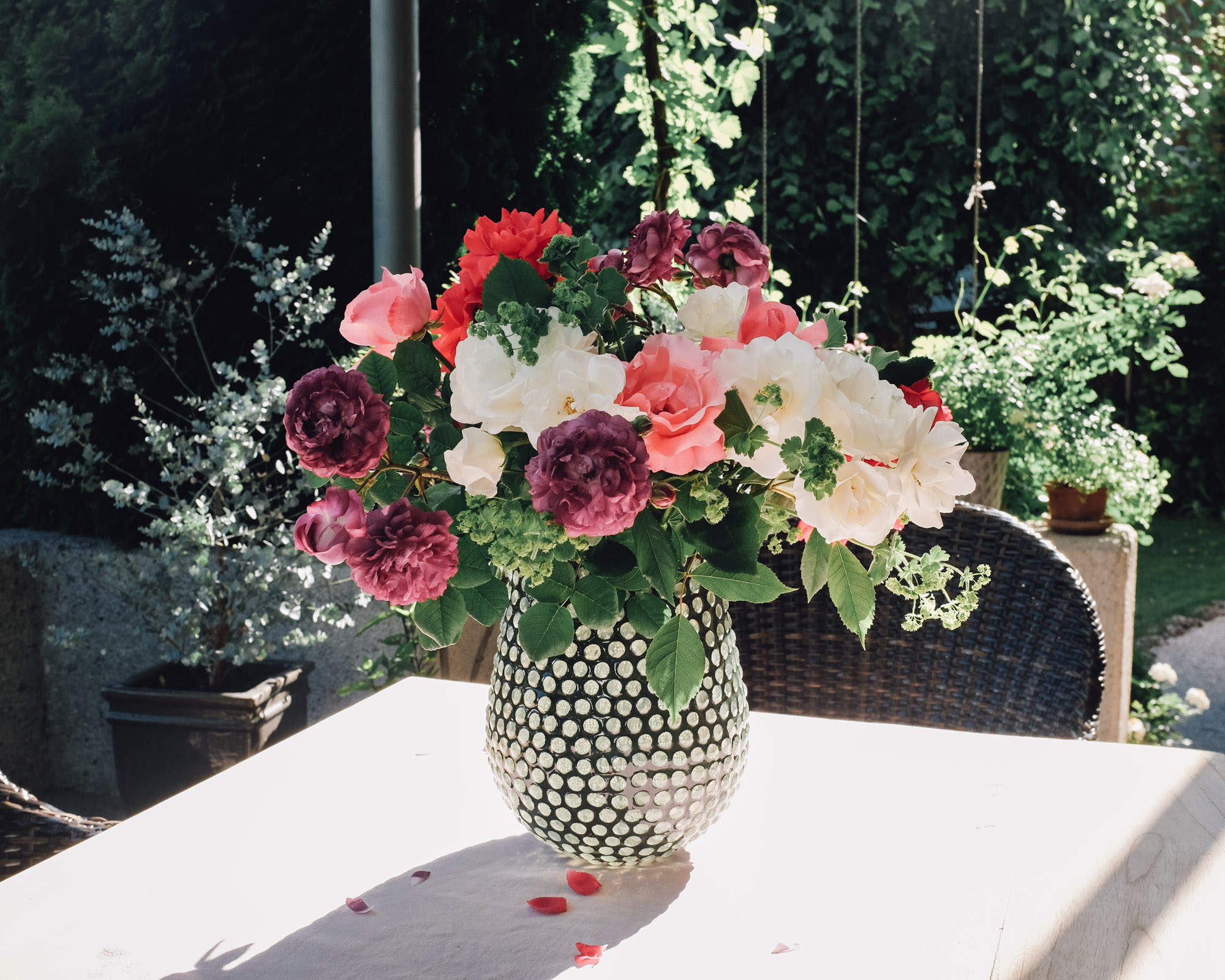 Frühsommer – ein intensiver Rosenduft liegt in der Luft