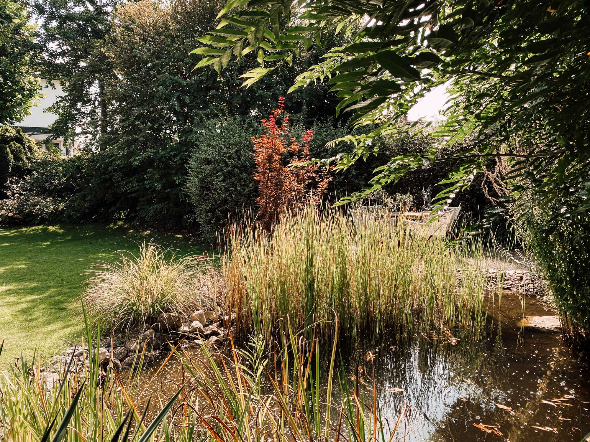 Herbstbeginn – was mir diesen September Freude bereitet