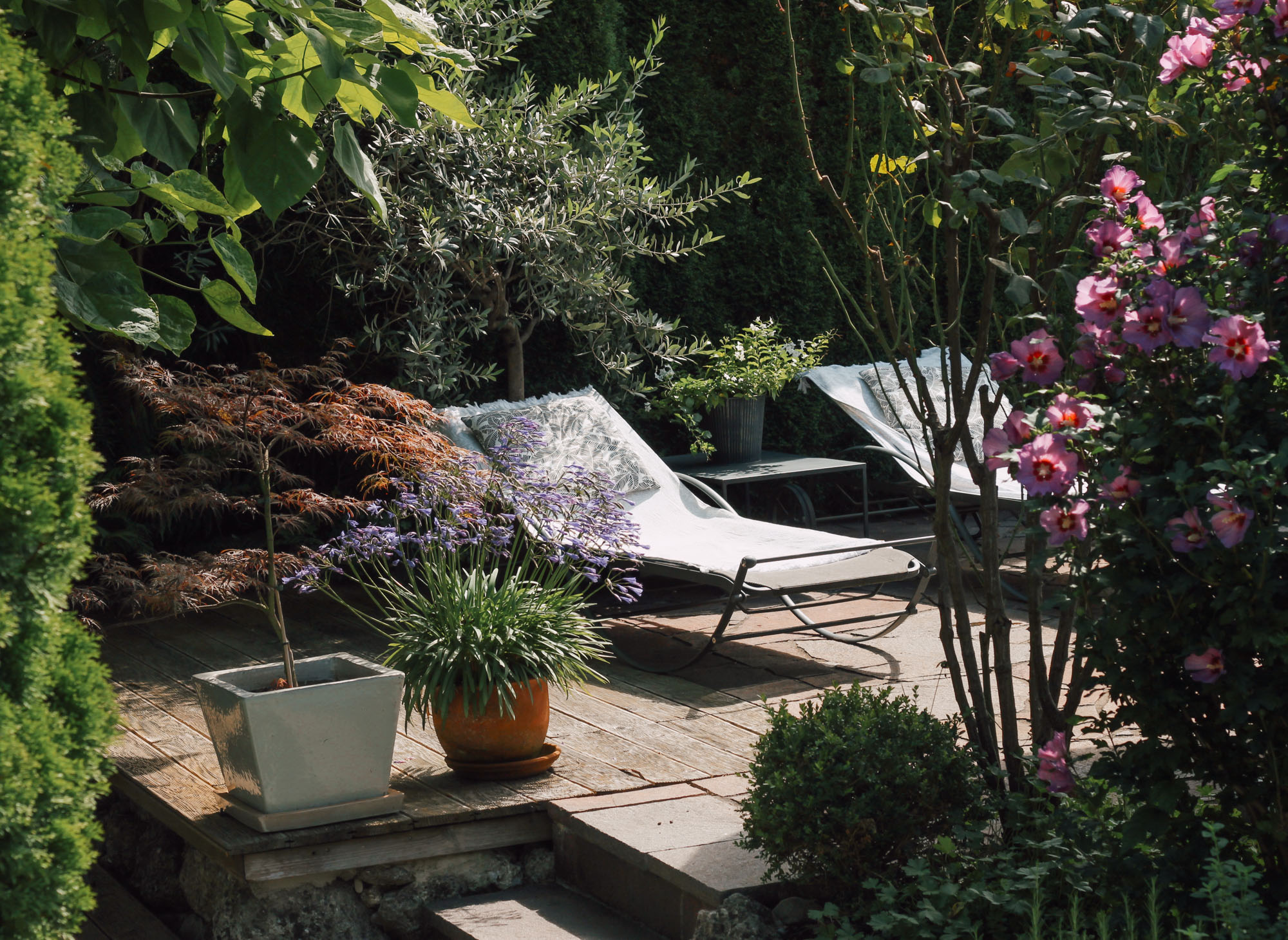 Unser Garten im Hochsommer &  etwas fruchtig Süßes – eine Zwetschkengalette