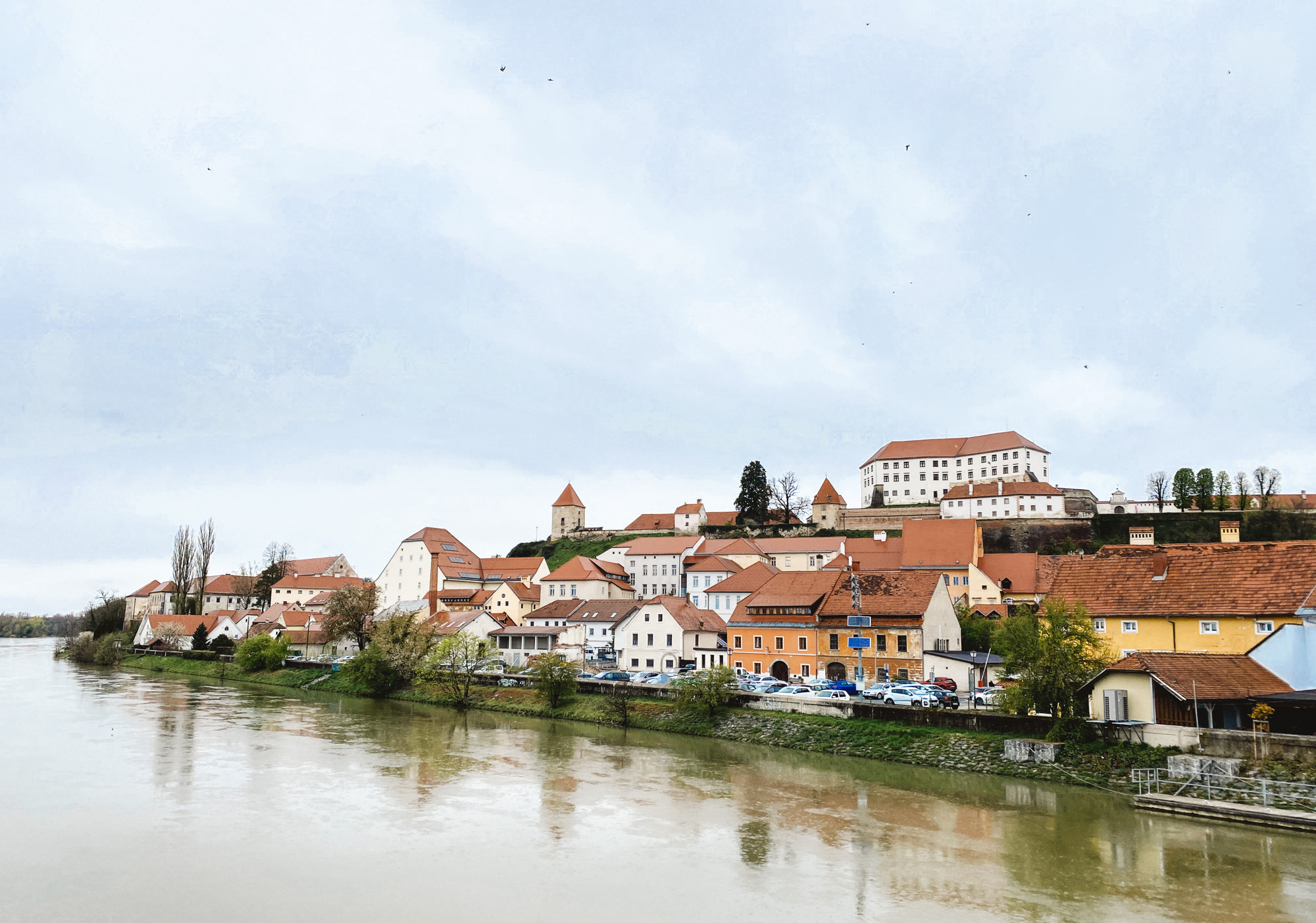 Ptuj – die älteste Stadt Sloweniens – Geschichte, Kultur & kulinarische Highlights
